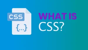 Read more about the article What is CSS