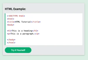 Read more about the article HTML Examples