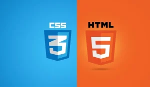 Read more about the article CSS in HTML