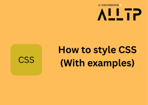 Read more about the article CSS Styles Examples
