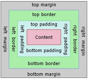 Read more about the article CSS Box Model