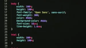 Read more about the article CSS Code With Example