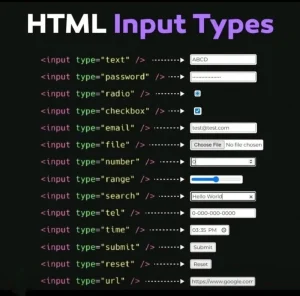 Read more about the article HTML Input Types