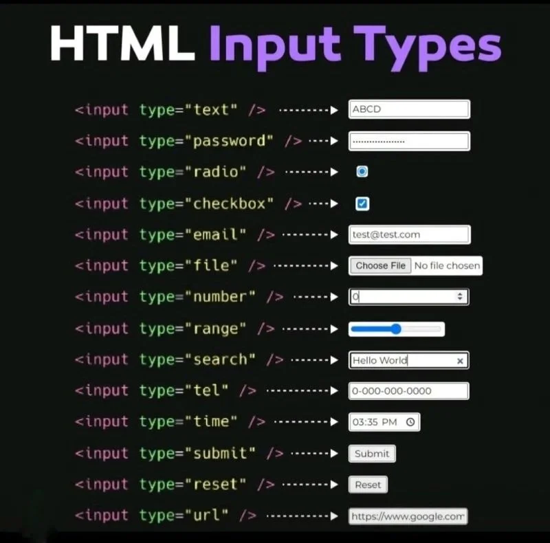 You are currently viewing HTML Input Types